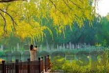 球探比分即时足球比分捷报love-球探比分，即时足球比分捷报，传递足球热爱（love）的桥梁