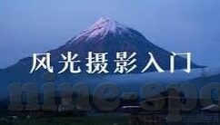 搜达足球比分-搜达足球比分，足球迷的实时数据宝库与观赛指南针