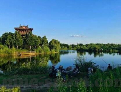足球比分90vs足球比分百度一-足球比分90vs足球比分百度一，探寻足球比分查询的多元路径与价值差异