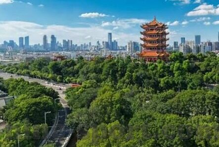 足球昨晚比分-昨夜绿茵烽火，一场比分背后的激情与悬念